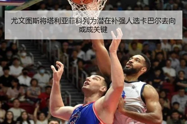 img_1788165939082_2477_0_425.jpg（QIUSUSPORTS）
